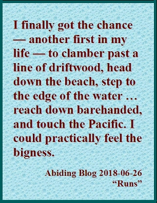 I finally got the chance -- another first in my life -- to clamber past a line of driftwood, head down the beach, step to the edge of the water ... reach down barehanded, and touch the Pacific. I could practically feel the bigness. #ThePacific #FeelTheBigness #AbidingBlog2018Runs